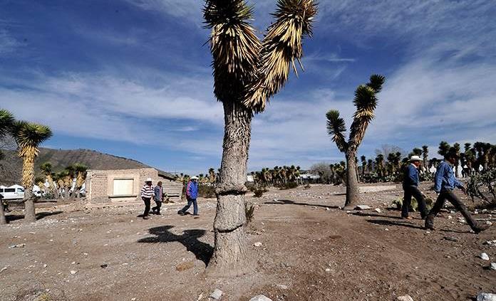 Denuncia Sedarh A Falsos Gestores