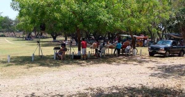 Dan Manita De Gato A La Laguna De Plan De Iguala