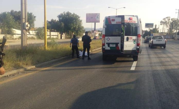 Automovilista Arrolla Y Mata A Peat N En La Carretera A Matehuala