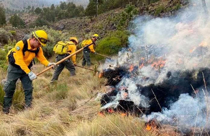 Incendio forestal consume 30 hectáreas en el Parque Pico de Orizaba