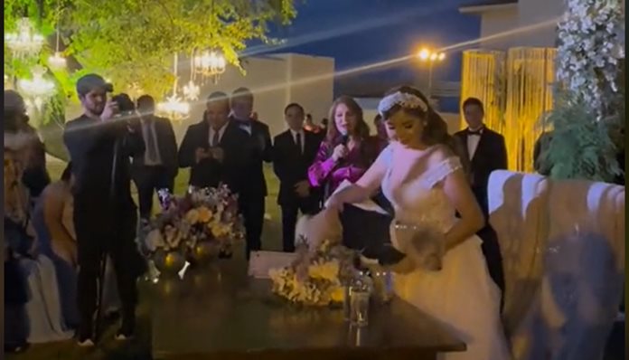 Perro Oficia Como Testigo De La Boda De Sus Due Os