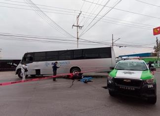 Motociclista Choca Contra Un Cami N Y Muere