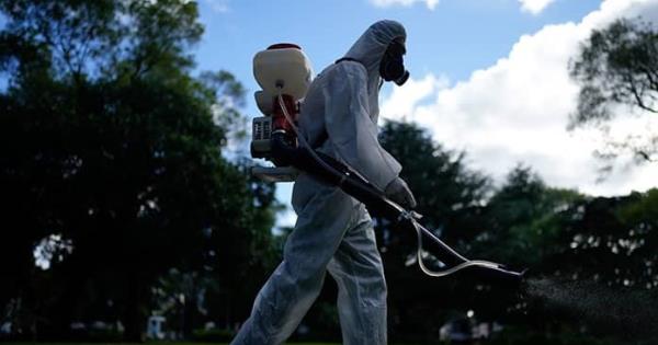 Advierte Ops Por Peor Temporada De Dengue