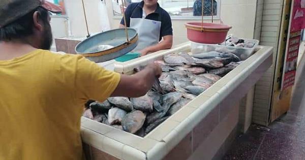 Bajas Ventas De Pescados Y Mariscos