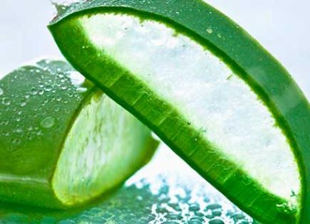 Beneficios del jugo de limón y aloe vera para la gastritis