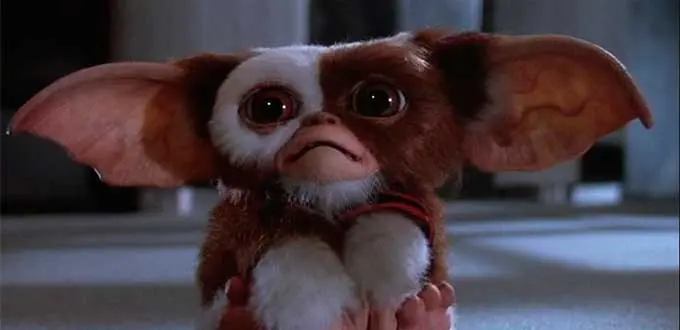 Warner Bros confirma el regreso de Gremlins a los cines con una nueva entrega