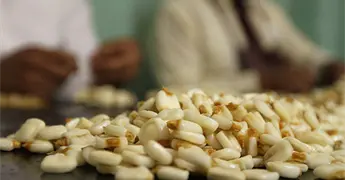 California exigir&aacute; &aacute;cido f&oacute;lico en tortillas a partir de 2026