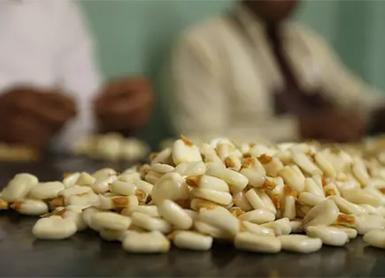 California exigir&aacute; &aacute;cido f&oacute;lico en tortillas a partir de 2026