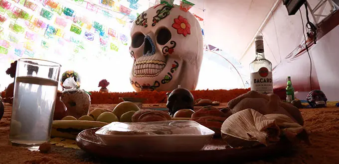 ¿Qué comida se pone en la ofrenda del Día de Muertos?
