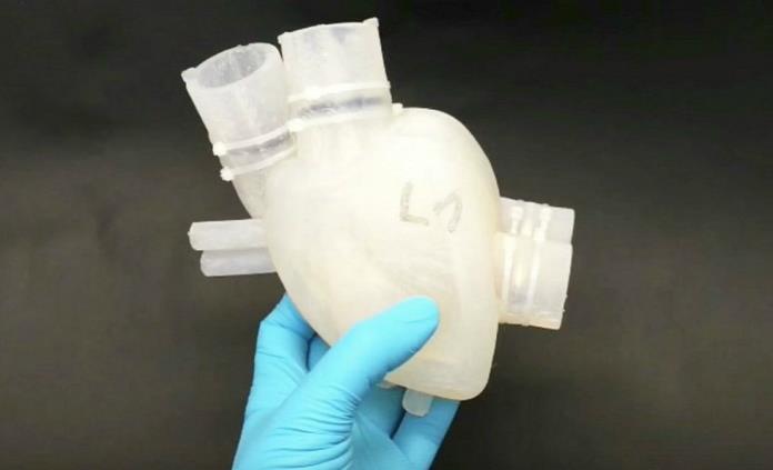 Científicos crean corazón impreso en 3D que late como uno real