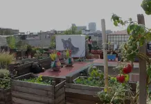 Beneficios y Prácticas de los Huertos Urbanos Beneficios y Prácticas de los Huertos Urbanos