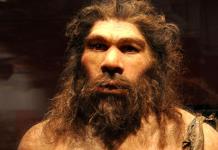 La forma de la nariz humana, una herencia neandertal y una ventaja evolutiva