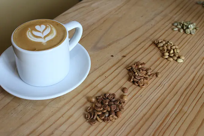Expo Café 2026 regresa al WTC en la Ciudad de México