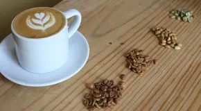 Expo Caf&eacute; 2026 regresa al WTC en la Ciudad de M&eacute;xico