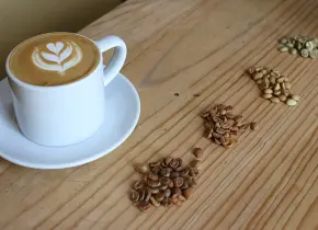 Expo Café 2025 en la CDMX; ¿Cuándo es el evento?