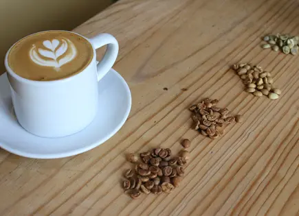 Expo Café 2025 en la CDMX; ¿Cuándo es el evento?