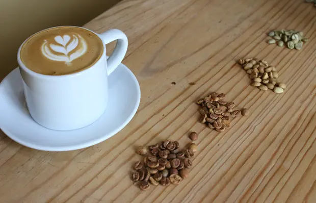 Expo Café 2025 en la CDMX; ¿Cuándo es el evento?