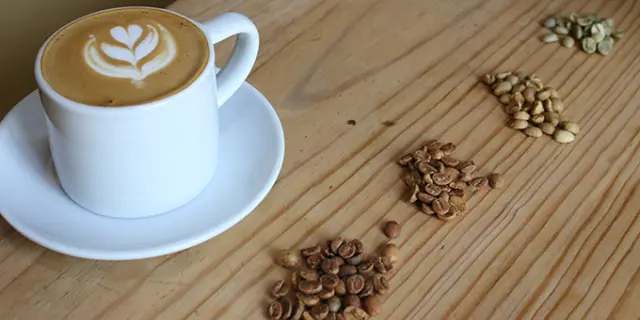 Expo Café 2025 en la CDMX; ¿Cuándo es el evento?