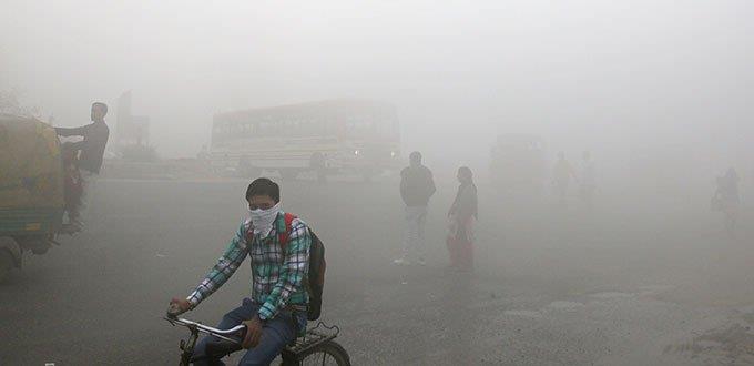 El entorno ambiental afecta más a la salud que la herencia genética