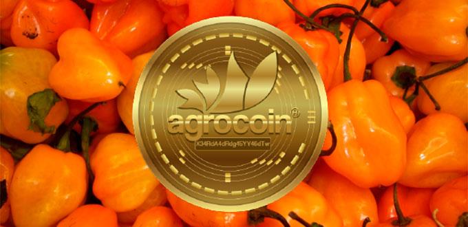 La agrocoin ya da rendimientos