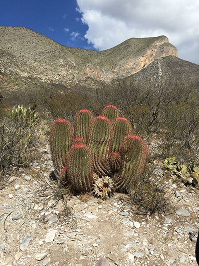 Pueblo Mágico de Real de Catorce, una cápsula al pasado (FOTOGALERÍA)