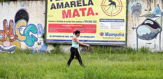 Brasil registra 52 muertes por fiebre amarilla en las últimas tres semanas