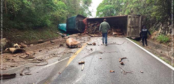 Volcadura de tráiler cargado con chatarra paraliza la carretera libre Valles-Rioverde