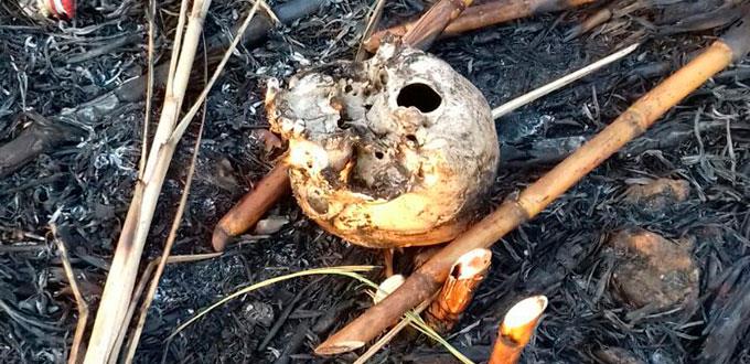 Aparece osamenta en quema de caña, suponen es de desaparecido