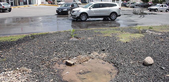 Se fuga el agua en camellón de SNM