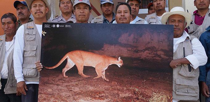 De comuneros a guardianes de felinos