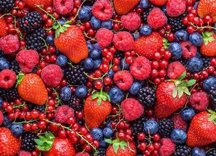 Beneficios de los frutos rojos para la salud y la circulación sanguínea