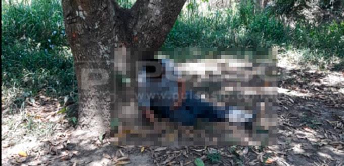 Hombre muere al caer de un árbol de mangos