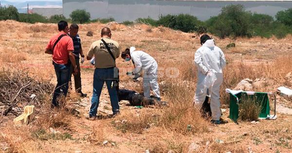 Encuentran A Un Hombre Muerto En Un Prado