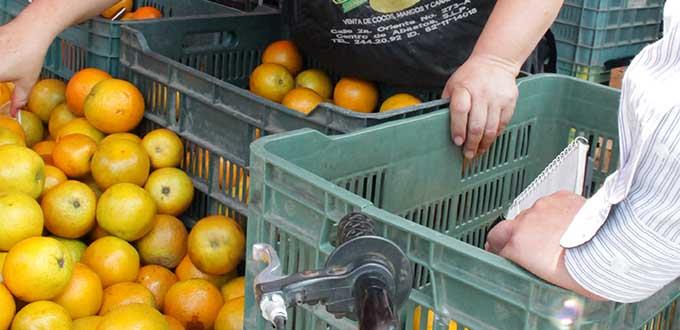 Precio elevado de la naranja continuará hasta septiembre