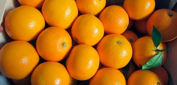 Precio de naranja seguirá a la alza