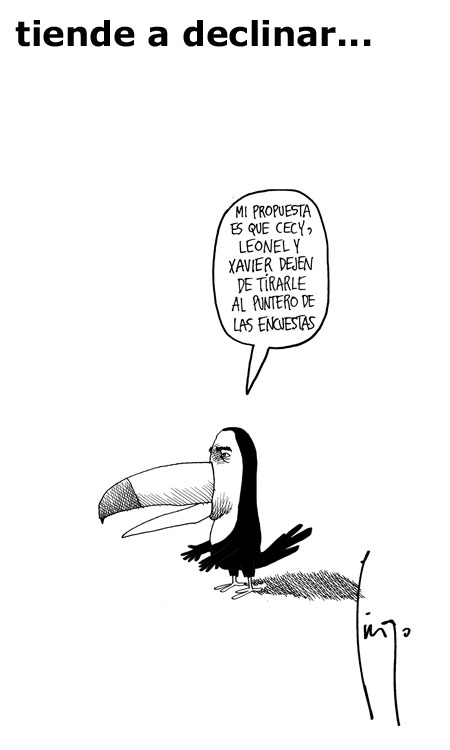 Pingo Pingo