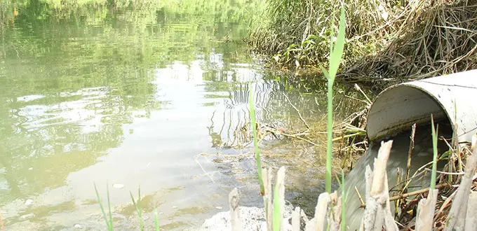 Persiste contaminación en ríos de la Huasteca