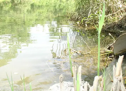 Persiste contaminación en ríos de la Huasteca