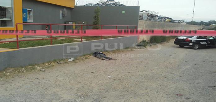Muere persona atropellada; vehículo se dio a la fuga