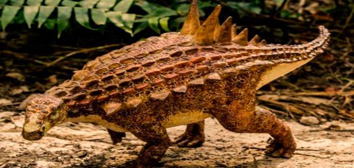 Hallan fósil de dinosaurio más antiguo que habitó en Coahuila