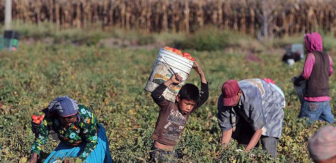 Trabajan en México 3.2 millones de niños
