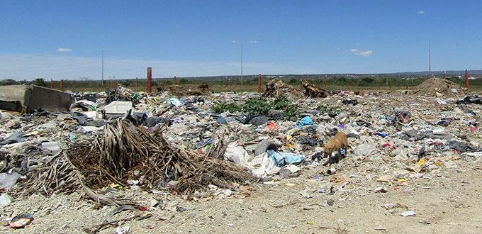 Un mdp cada cuatro días requieren en el basurero