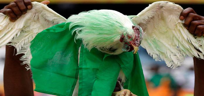 Rusia prohíbe a hinchas llevar gallinas vivas a estadios