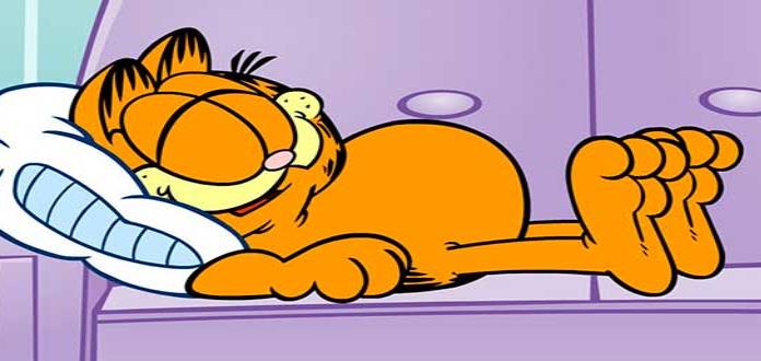 El Gato “garfield” Celebra 40 Años De Odiar Los Lunes Y Amar La Pereza