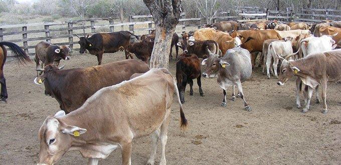 Acusan a alcaldesa y candidata de desvío