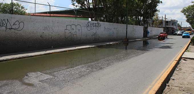 Pestilencia afecta Esc. Primaria en Av. Salk