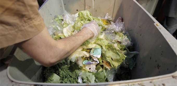 Estudiantes desarrollan combustible hecho con basura orgánica
