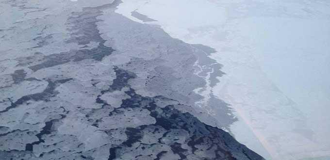 Cambio climático aumentará vida vegetal en el Ártico, advierte experto