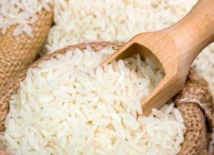 Cultivo de arroz rápido en invernaderos desérticos