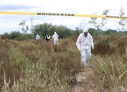 Madre buscadora descubre crematorio clandestino en la Ciudad de México